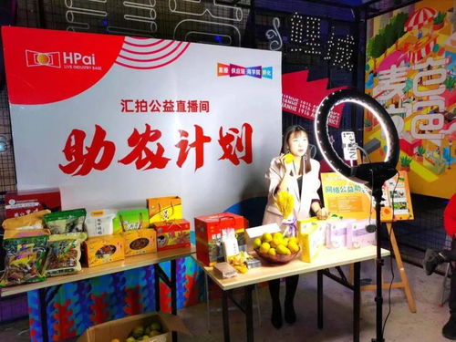 泉州微公益深耕互聯(lián)網(wǎng)公益 賦能網(wǎng)絡(luò)文化建設(shè)與互聯(lián)網(wǎng)文化活動(dòng)的創(chuàng)新實(shí)踐