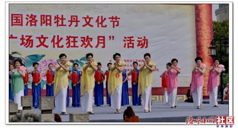 各模特隊(duì)顯身手——周王城廣場(chǎng)牡丹文化節(jié)活動(dòng)掠影