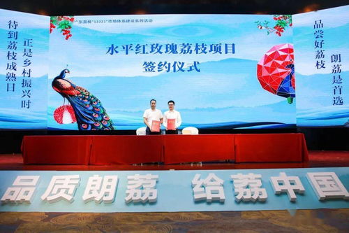 品質(zhì)朗荔 給荔中國(guó) 2021第七屆中國(guó)·東莞互聯(lián)網(wǎng)荔枝節(jié)暨大朗荔枝品牌文化推廣盛大啟動(dòng)